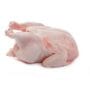 Chicken Broiler 5KG